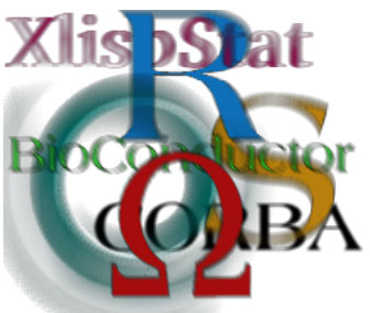 Monitoring and Logging R Scripts in Production (Directions of Statistical Computing, Stanford, USA)